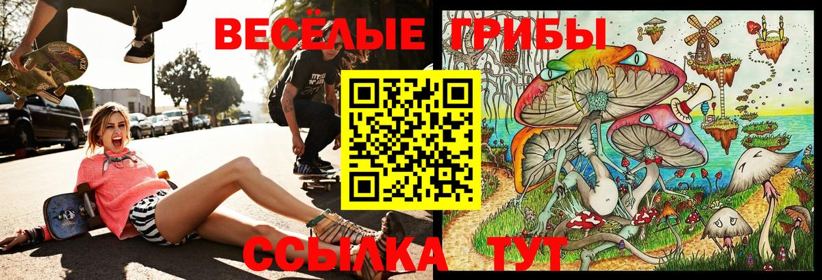 Псилоцибиновые грибы Magic Shrooms  Вход с VPN  наркота  Рязань  Псилоцибиновые грибы GOLDEN TEACHER 