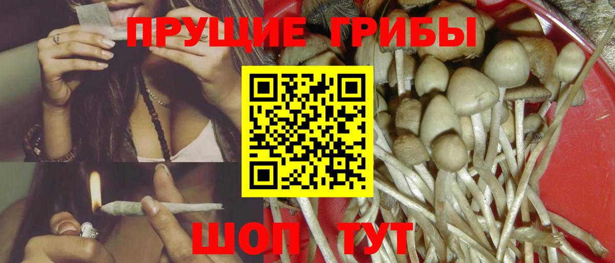 Псилоцибиновые грибы прущие грибы Рязань